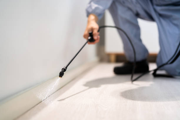 Licensed Fumigation Services service in DeLand, FL - Nex Pest Control