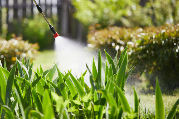 24/7 Emergency Fumigation Services experts in DeLand, FL