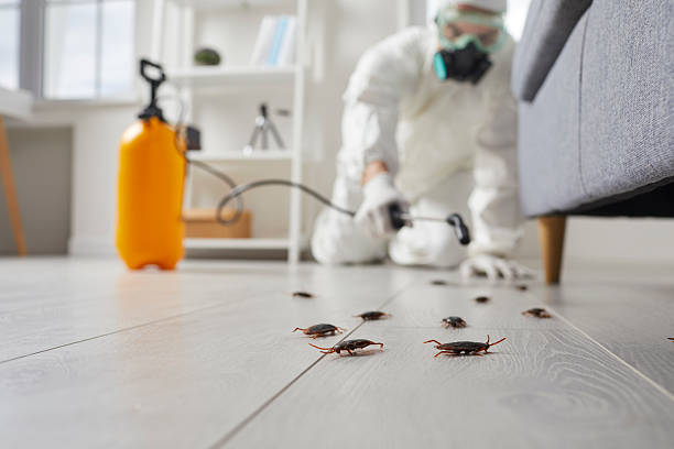 Trusted Fumigation Services service in DeLand, FL - Nex Pest Control
